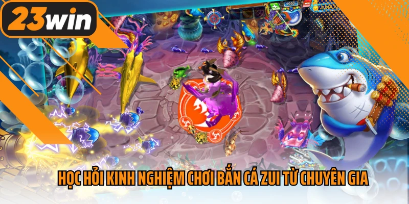 Học hỏi kinh nghiệm chơi bắn cá zui từ chuyên gia